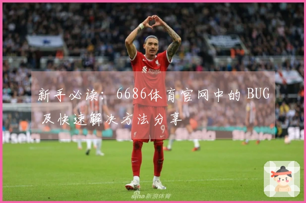 新手必读：6686体育官网中的 BUG 及快速解决方法分享