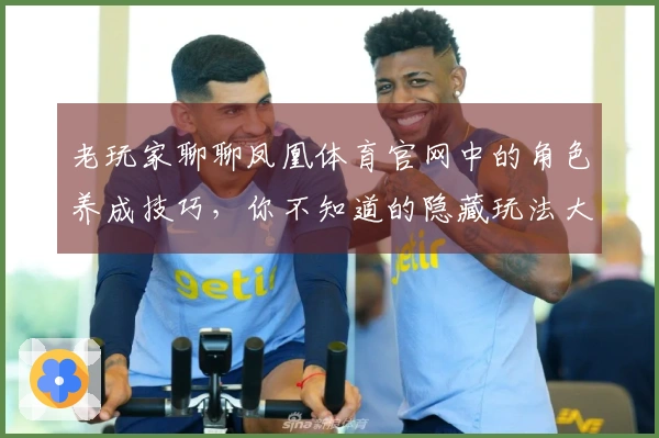 老玩家聊聊凤凰体育官网中的角色养成技巧，你不知道的隐藏玩法大揭秘