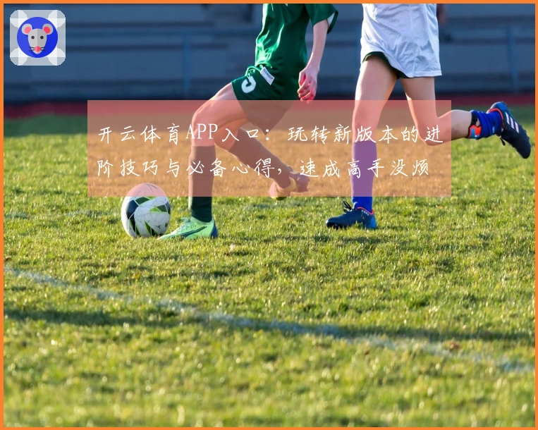 开云体育APP入口：玩转新版本的进阶技巧与必备心得，速成高手没烦恼！
