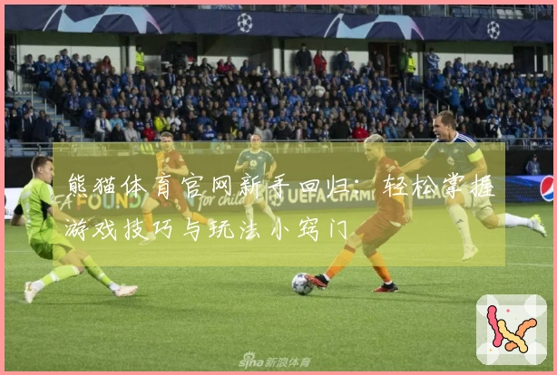 熊猫体育官网新手回归：轻松掌握游戏技巧与玩法小窍门