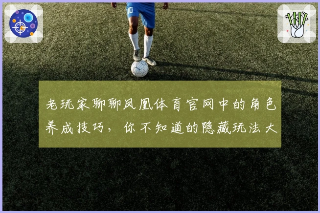 老玩家聊聊凤凰体育官网中的角色养成技巧，你不知道的隐藏玩法大揭秘
