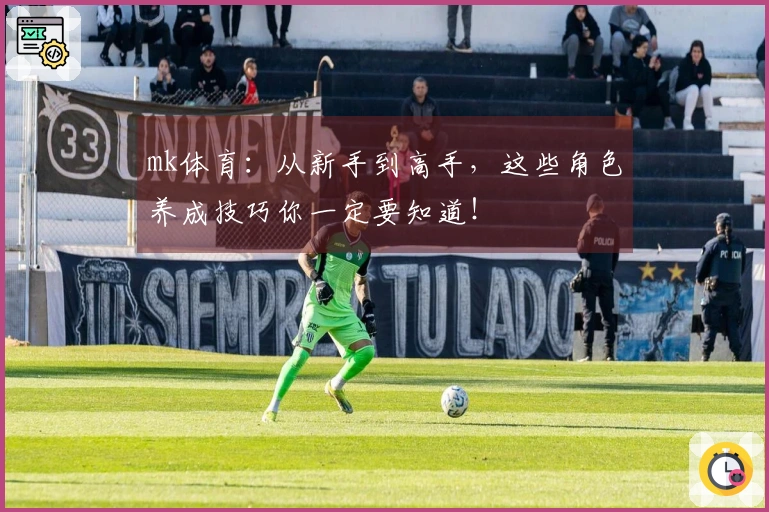 mk体育：从新手到高手，这些角色养成技巧你一定要知道！